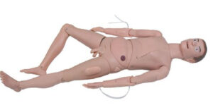 Basic Female Manikin