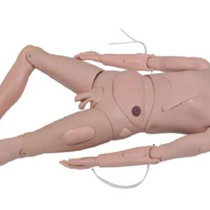Basic Female Manikin