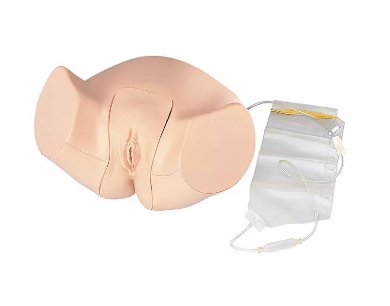 female_catherization