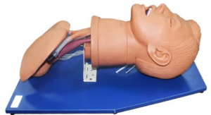 Airway management simulator 004