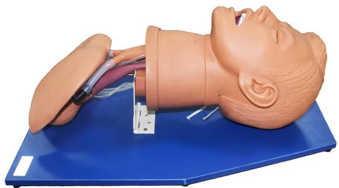 Airway management simulator 004