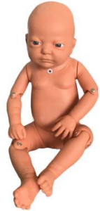 Infant Tracheostomy care simulator Hh 303