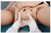 Maternal and neonatal childbirth emergency training system hpf-10002