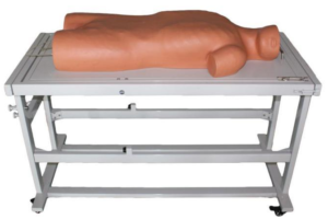 Abdominal Shifting Dullness Percussion and Abdominocentesis Simulator
