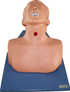 Adult tracheotomy care simulator