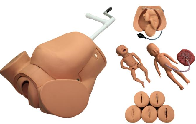 Advanced abdominal palpation and delivery mechanism integrated simulator