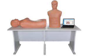 Advanced cardiopulmonary and abdominal examination teaching system