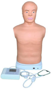 Auscultation manikin