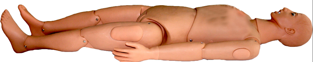 Basic nursing manikin (male/female) - Image 3