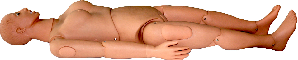 Basic nursing manikin (male/female) - Image 2