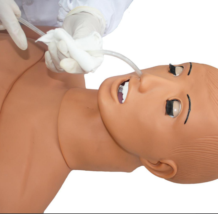 Basic nursing manikin (male/female)
