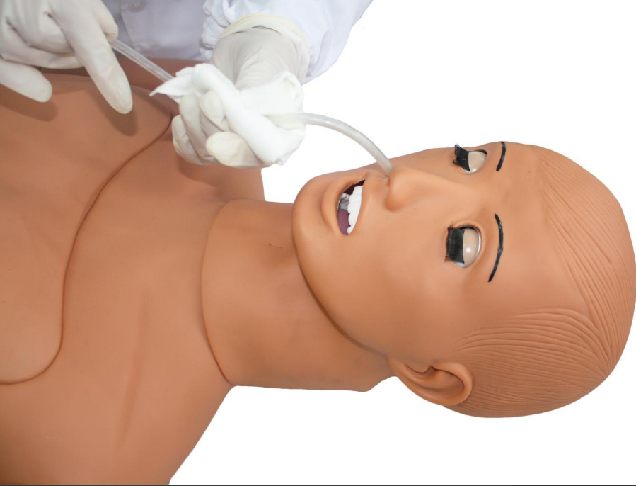 Basic nursing manikin (male/female)