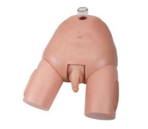 Bladder puncture stimulator (male)