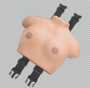 Breast examination stimulator