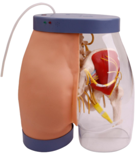Buttocks intramuscular injection and contrastive simulator