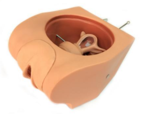 Female contraception simulator