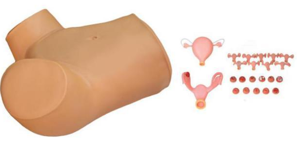 Gynecological Examination Simulator