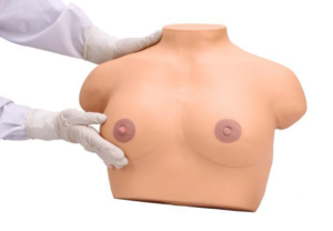Inspection and palpation of breast stimulator