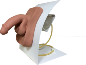 Male catheterization model