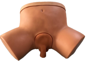 Male catheterization simulator