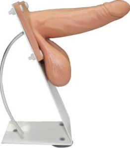 Male condom model
