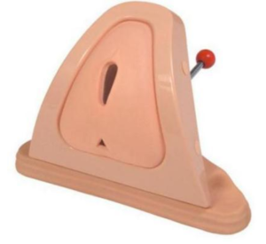 Perineum cutting and suturing training simulator