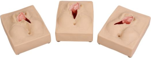 Perineum Suturing Training Model