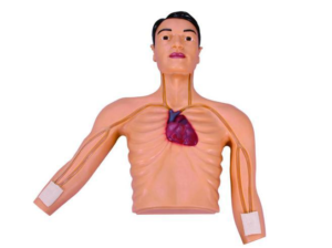 Picc intervention stimulator