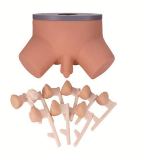 Prostate examination stimulator