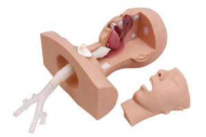 Suction training simulator