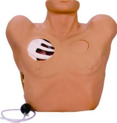 Thoracentesis drainage stimulator