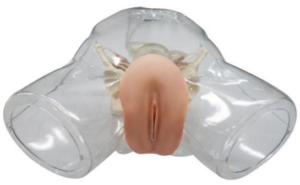 Transparent curettage model