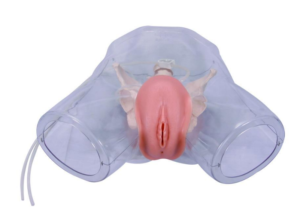 Transparent female catheterization simulator