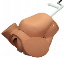Advanced Childbirth Education Training Simulator